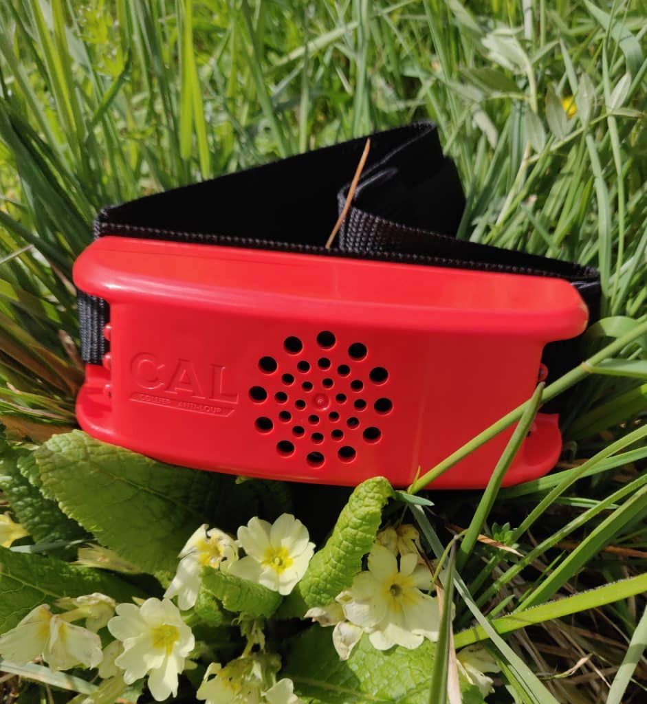 Protection des troupeaux